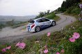 1 Peugeot 207 S2000 P.Andreucci - A.Andreussi (43)